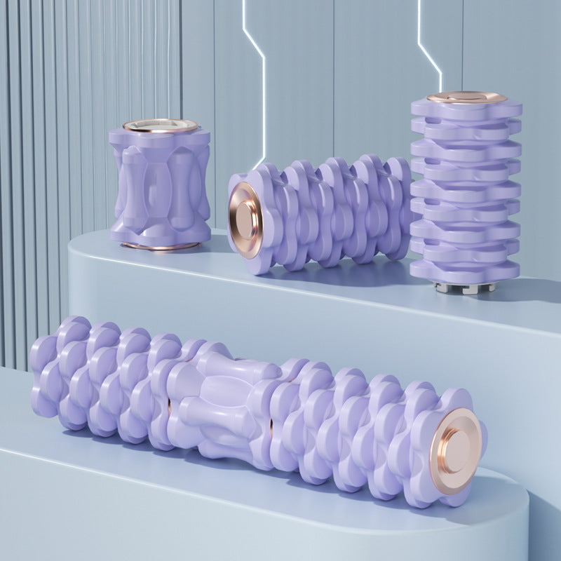 Electric Vibration Roller